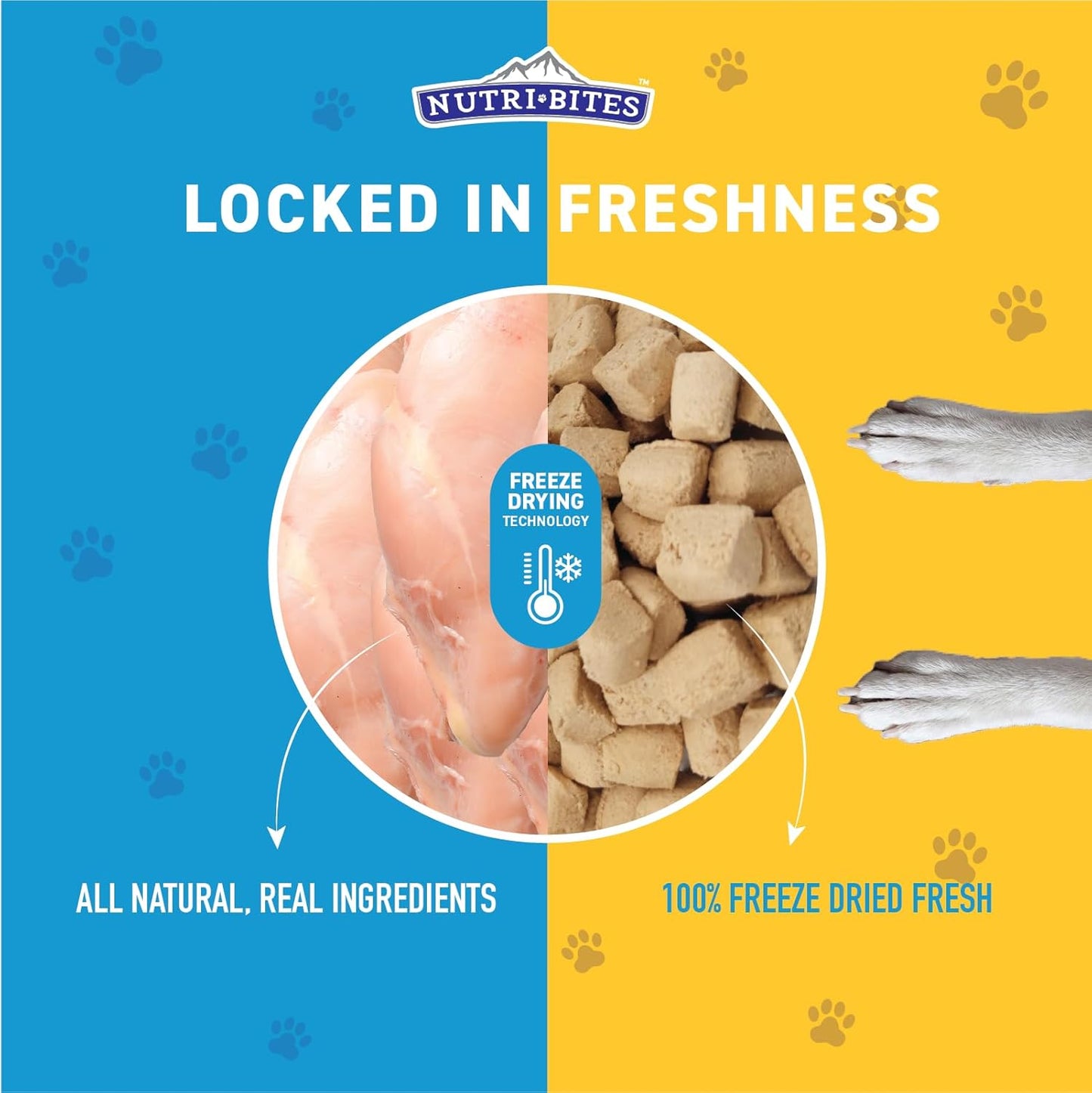 Nutri Bites Chicken Treats – Freeze-Dried, Single Protein, High-Protein, 22 oz.