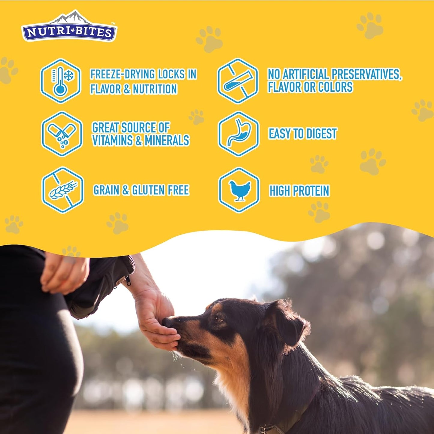Nutri Bites Chicken Treats – Freeze-Dried, Single Protein, High-Protein, 22 oz.
