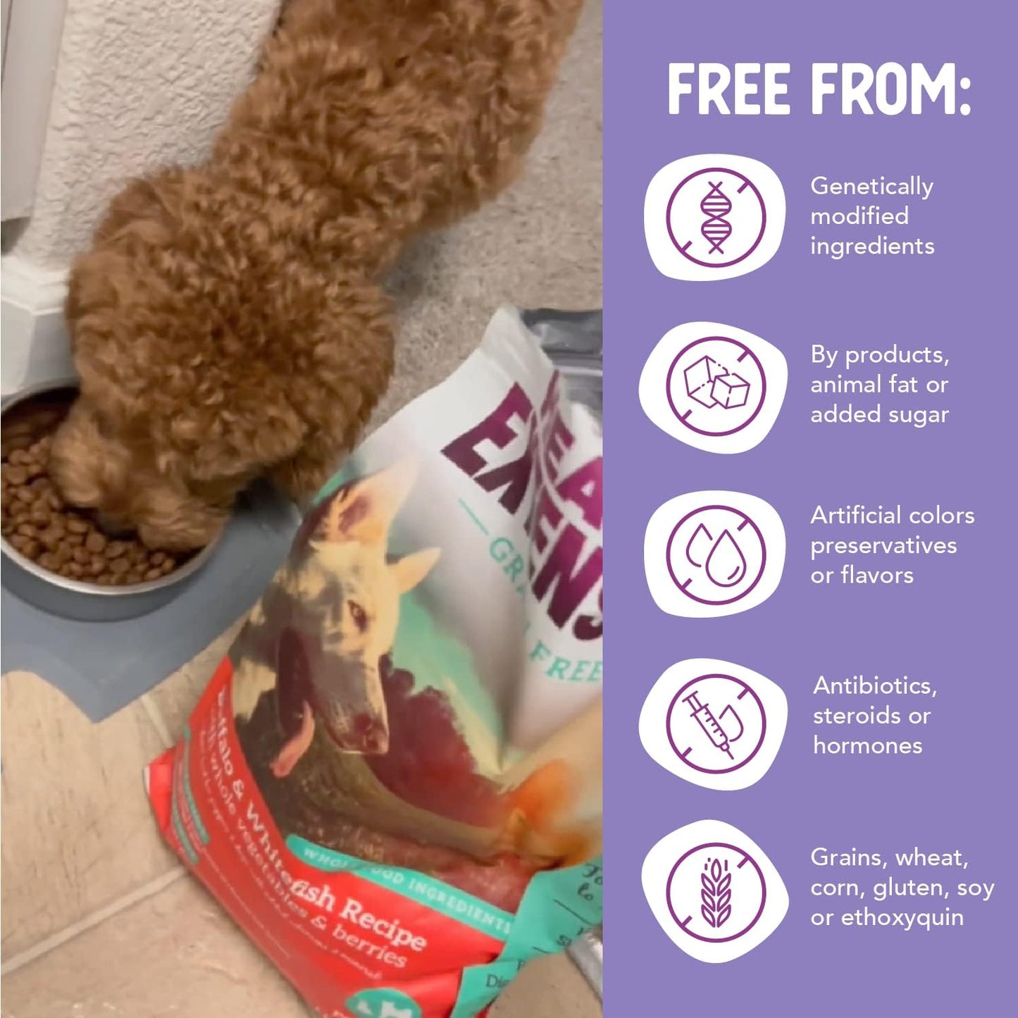 Health Extension Grain‑Free Buffalo & Whitefish Dry Dog Food (23.5 lb)