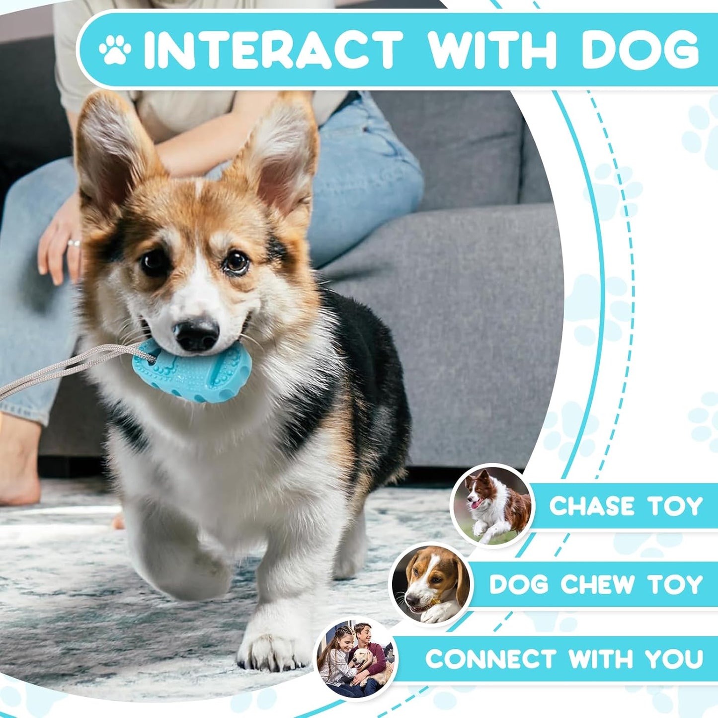 Dog Suction Chew Toy – Treat Dispenser & Teeth Cleaner (Blue).