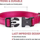 Reflective Adjustable Nylon Dog Collar with Safety Buckle – Pink (Small, Medium, Large)
