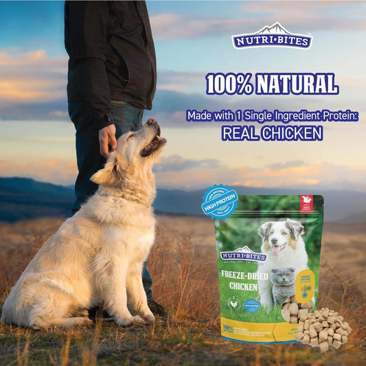 Nutri Bites Chicken Treats – Freeze-Dried, Single Protein, High-Protein, 22 oz.