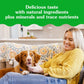 Greenies Pill Pockets – Large Dogs, Peanut Butter, 60 Treats (15.8 oz).