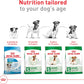 Royal Canin Size Health Nutrition Small Adult Dry Dog Food, 14 lb bag