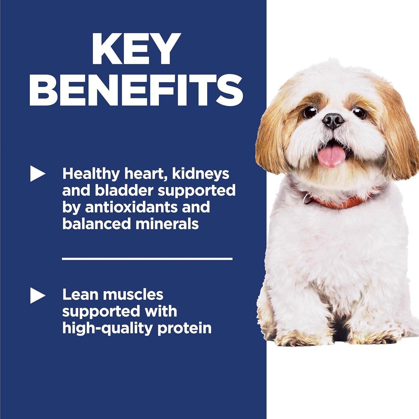 Hill's Science Diet Adult 7+ Small Kibble Chicken & Rice – 15 lb