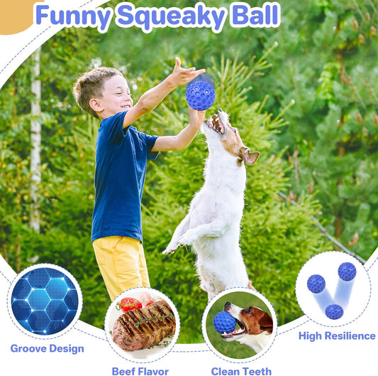 Indestructible Squeaky Dog Ball – Anxiety-Relieving, Teeth-Cleaning Chew Toy for Aggressive Chewers – Large Breeds, Waterproof & Outdoor Safe